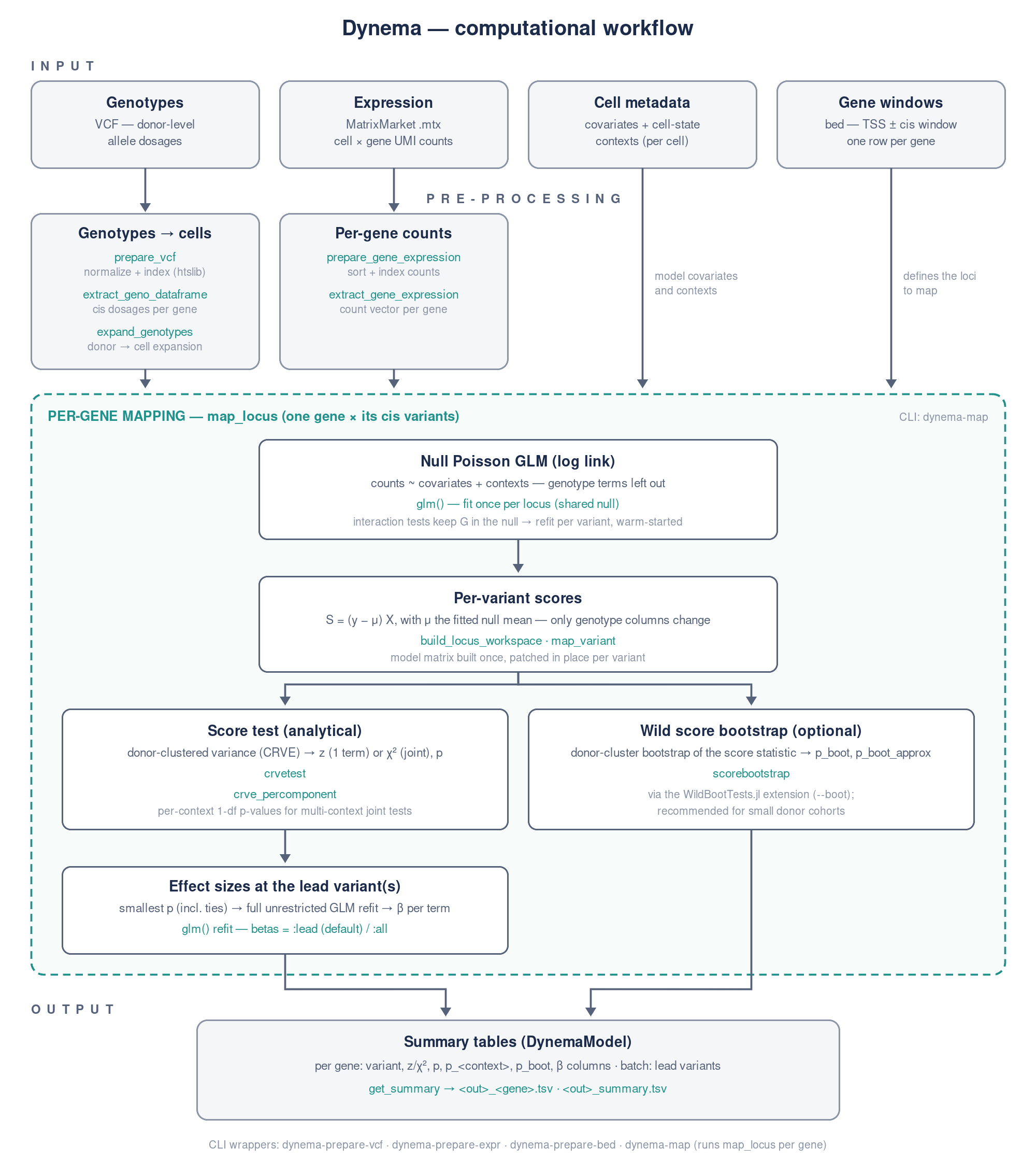 Dynema computational workflow